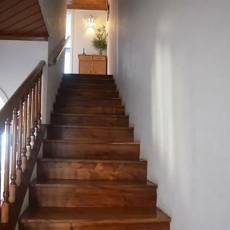 Holiday home Sea House Sao Roque (Sao Miguel)